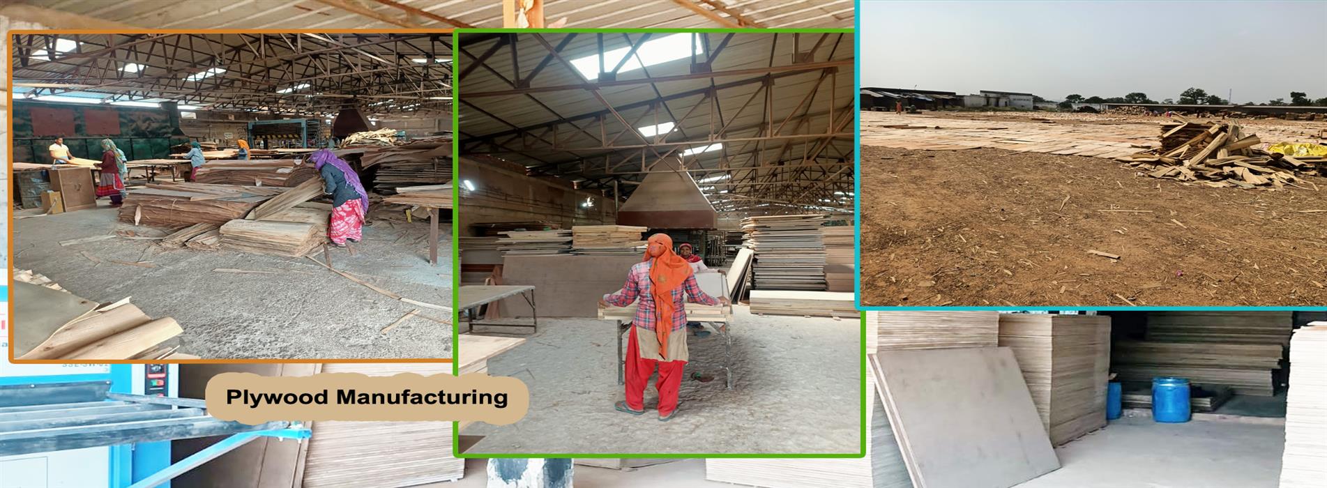 Plywood Manufacturing